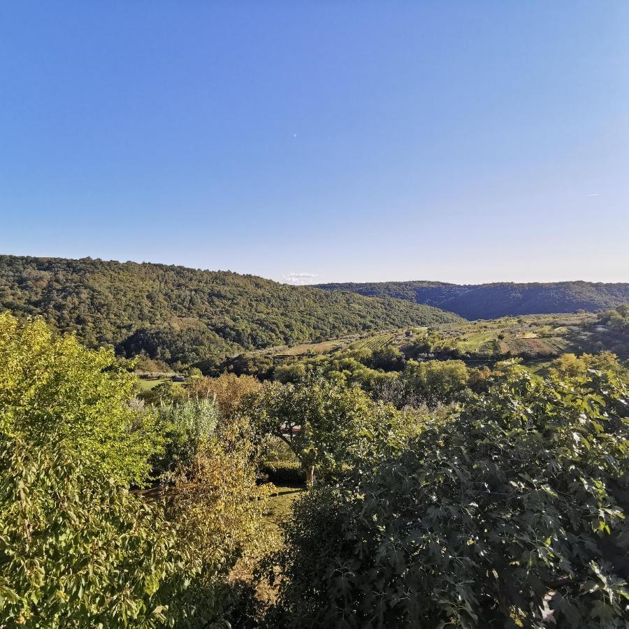 Apartma Zan Daire Šmarje Dış mekan fotoğraf